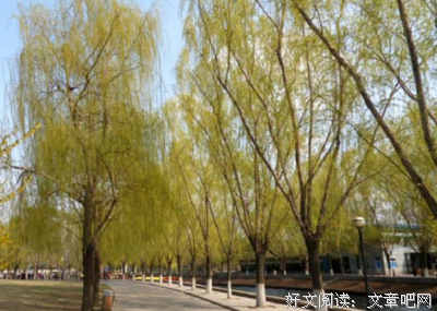 关于微风的句子