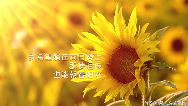 箴言优美的句子