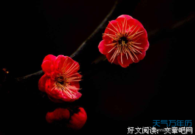 还行优美的句子
