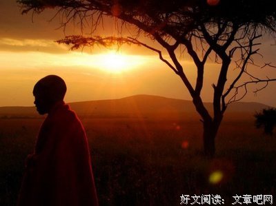 有关拂禅精彩语录