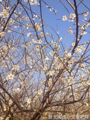 一个女三的忏悔：做了大叔七年二奶我心碎成渣悔断肠