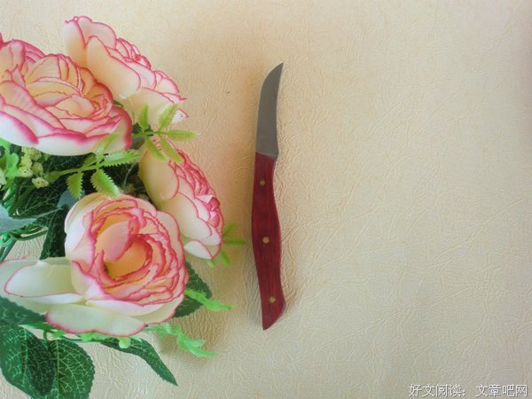 梅蕴刀的名句