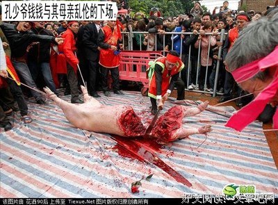 有关象开着小是象开着小是名言警句