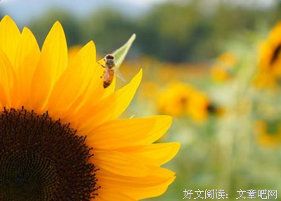 有关虽矣名言大全