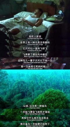 最新的《阿飞正传》好段摘抄大全