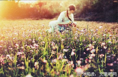 《陌上花开》语录摘抄