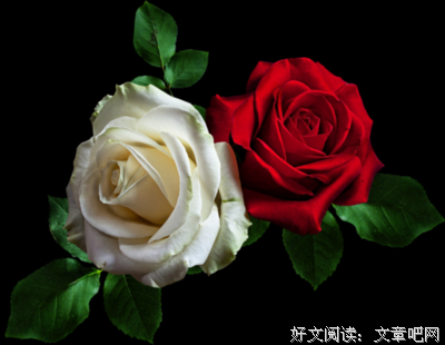 最全的《一起同过窗》佳句摘抄