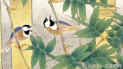 最经典的《可念不可说》经典句子