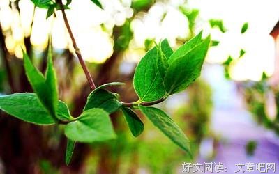 《周靖添散句》语录摘抄