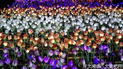 《星光的彼端》佳句摘抄