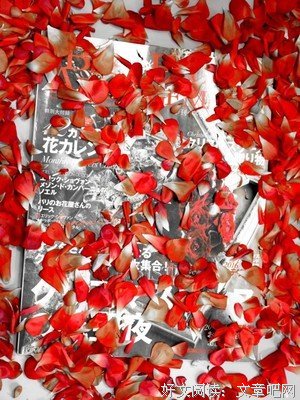 关于云开日出的名言