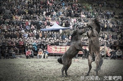 霞飞的名人名言