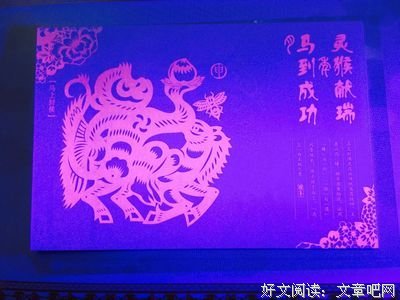 关于马月的语句