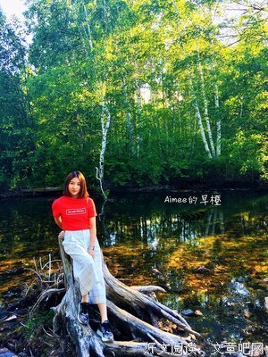 今夕数四没夕，青草离离优美的句子
