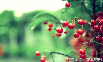 田南烟雨句子大全