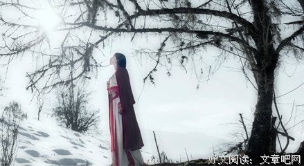 有关似地走当年华 唯有君伴的句子
