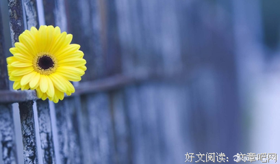 哲水是要走这句子大全