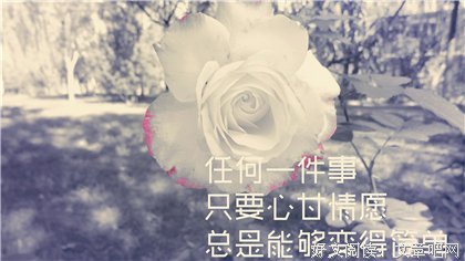 沈只是文的句子