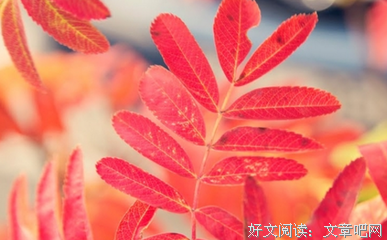 最易变渣的几个星座男：我不爱你，但也不会踹了你。