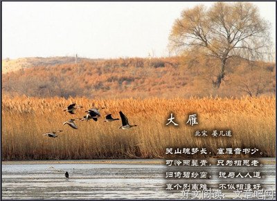 最经典的《夺梦》小说句子