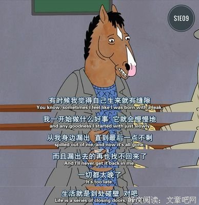 最全的《马男波杰克》经典的句子大全