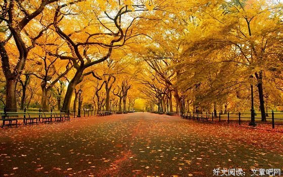 最新的《龙与少年游》好段摘抄大全