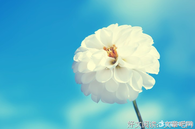 最全的《寻找前世之旅》经典句子