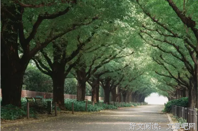 关于子瞻的语句