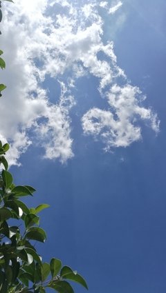 15条关于天朗气清的经典语句