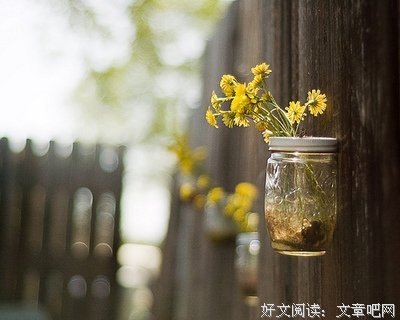 关于半醒的语句