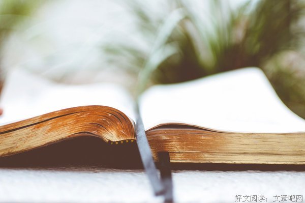 高不可攀的名句_关于高不可攀的名句