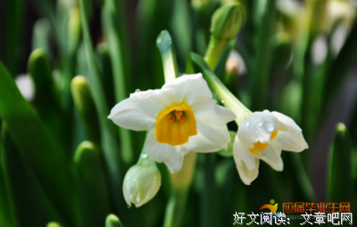 关于离不开的优美句子