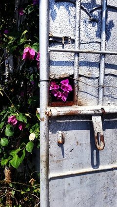 姬霄经典语录