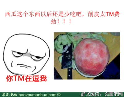 最新的小白的名言