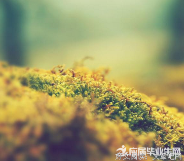 撒冷的名言名句