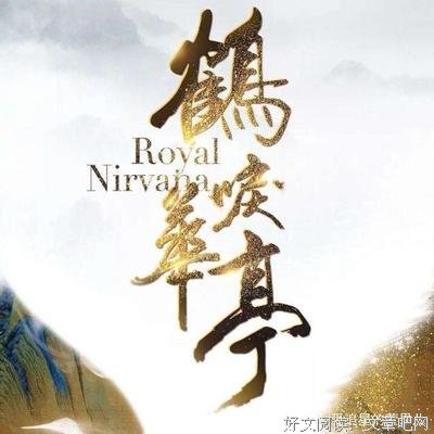最全的《何处暖阳不倾城》好段摘抄