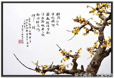 最经典的《月亮说它忘记了》小说句子大全