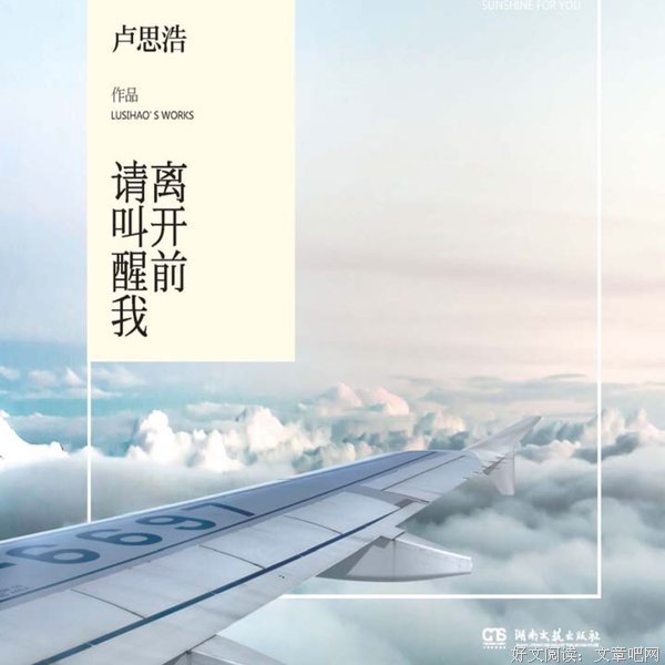 最经典的《离开前请叫醒我》经典的句子
