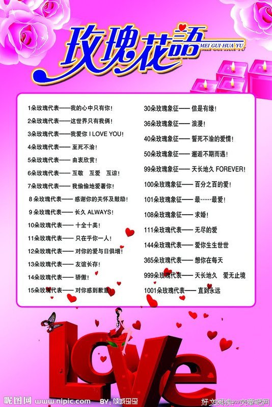 最经典的《红玫瑰与白玫瑰》经典的句子大全
