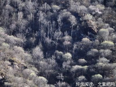 最全的《蓝色大海的传说》好段摘抄大全
