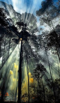 《记忆是时光缩影》经典名句