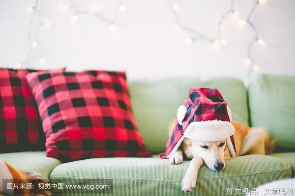 昏昏欲睡的句子