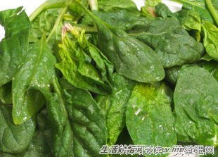 涩涩格言警句