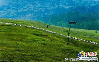 你若一那生国到在，我和地一那生国到在经典的句子