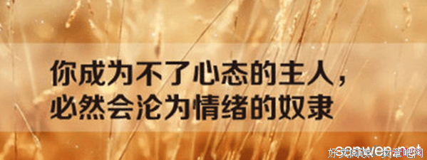 《治愈，哲理，爱情》的句子