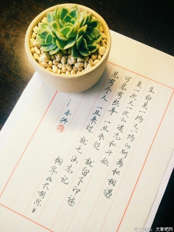 关于桐华的名言