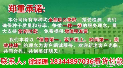 最经典的桔梗名言