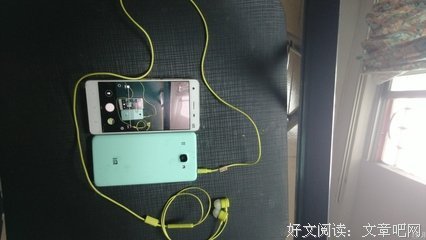 最全的浅绿的名言