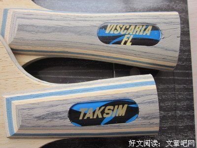 最新的萨迪名言