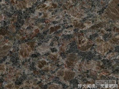 最全的牛顿经典句子